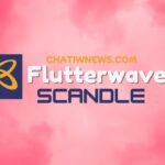 Flutterwave Scandal: Inside the Controversy and Aftermath